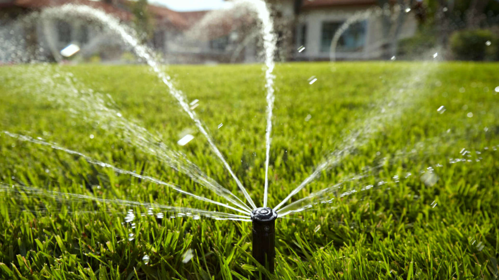 Irrigation Services