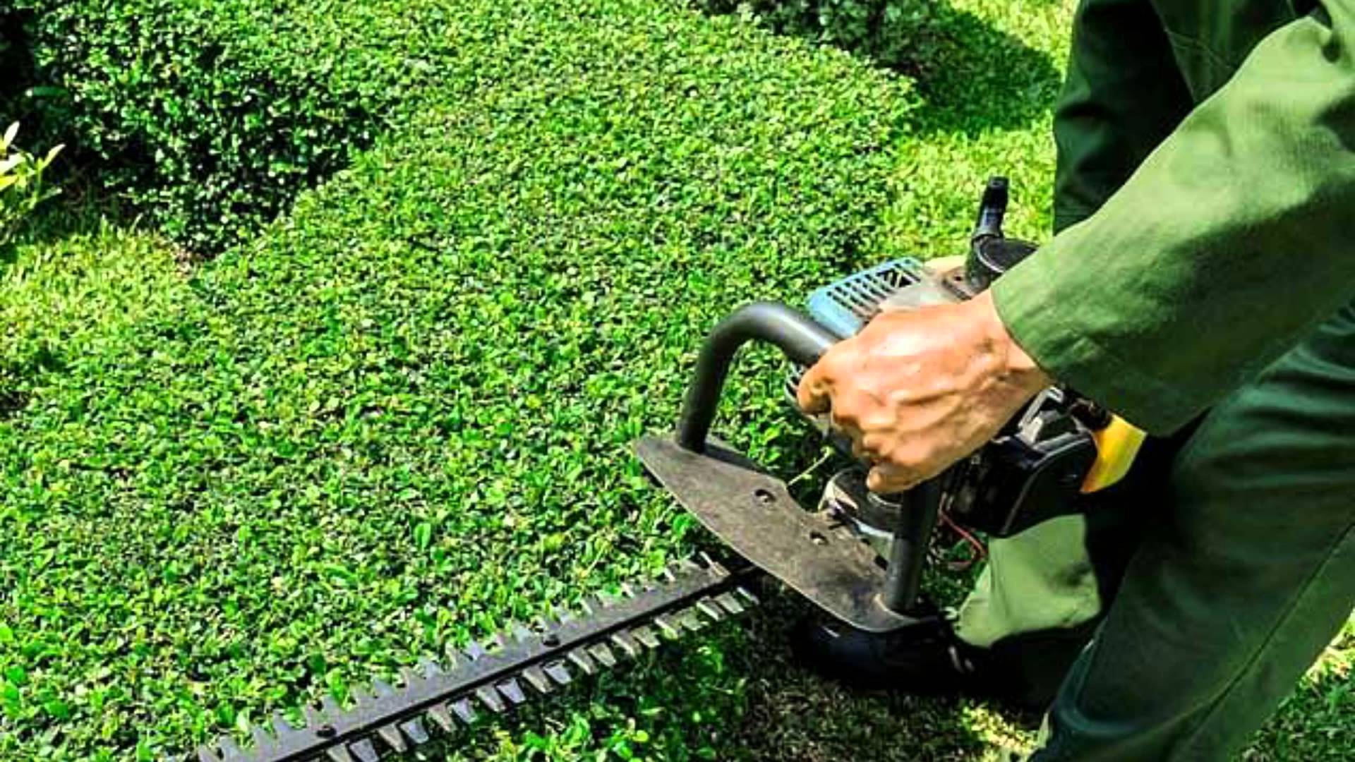 Landscape Maintenance